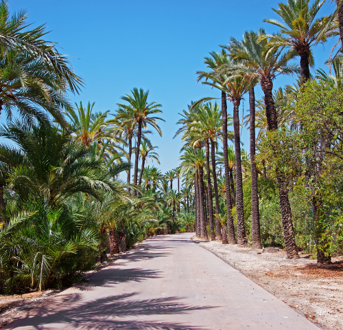 Les Quartiers de Marrakech Où Investir en 2025