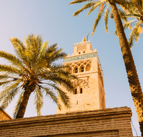 Les Tendances Actuelles du Marché Immobilier à Marrakech