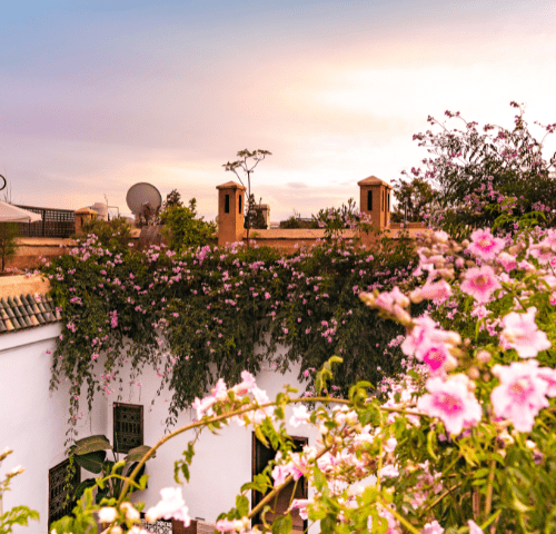 Comparatif : Acheter un Riad ou une Villa à Marrakech ?