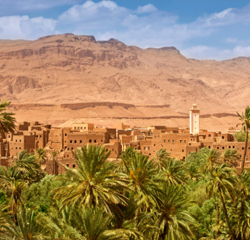 Achat de Terrain à Marrakech : Opportunités et Précautions à Connaître